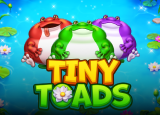 Tiny Toads